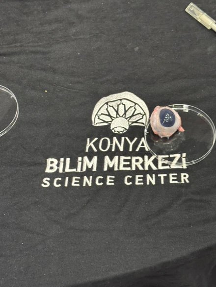 Konya Bilim Merkezi ile Eğitim Fakültesi İş Birliği